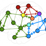 Network symmetries induce synchronization