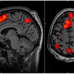 Functional brain networks and brain influencers